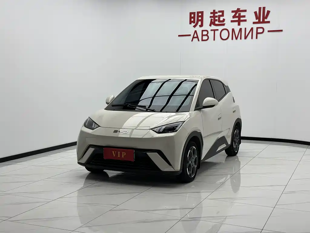 BYD Seagull 2024