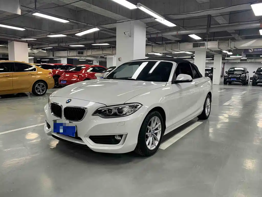 BMW 2 Series 2016