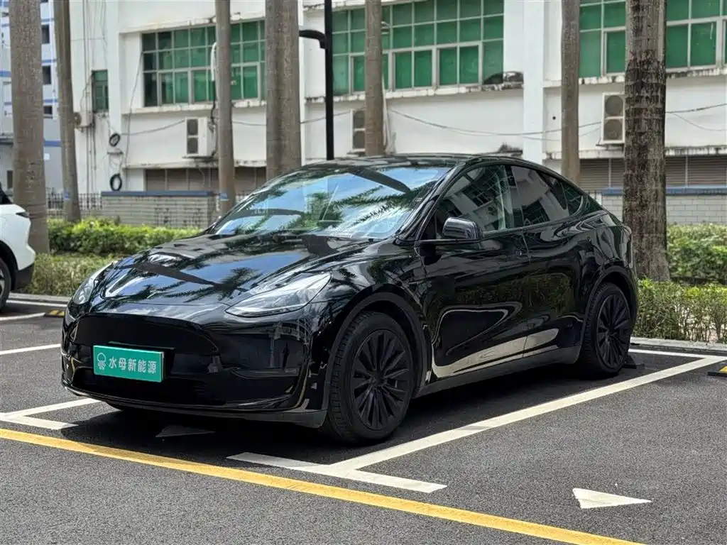 Tesla Model Y 2021
