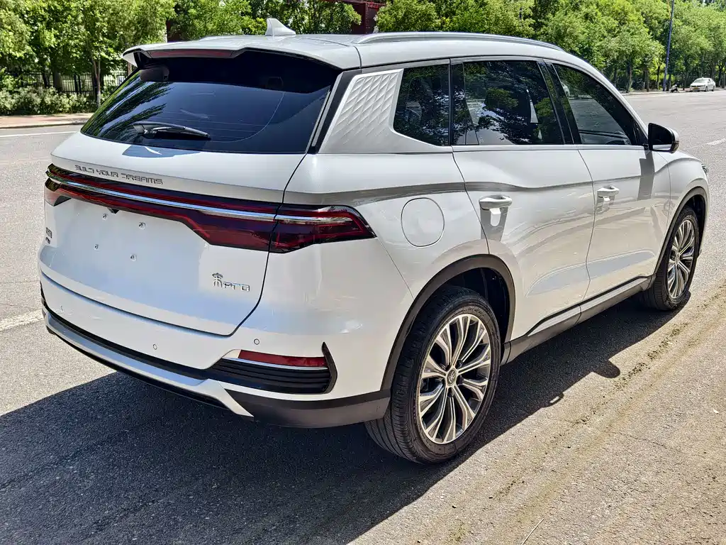 BYD Pro New Energy 2023 — фото 6