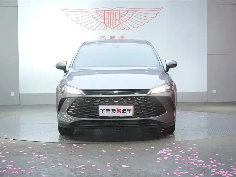 BYD Qin PLUS 2025 — фото 6