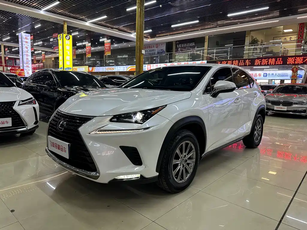 Lexus NX 2021 — фото 1
