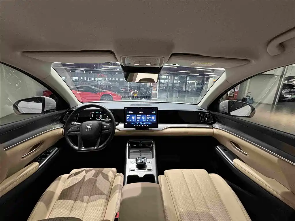 BYD Song Pro New Energy 2025 — фото 24