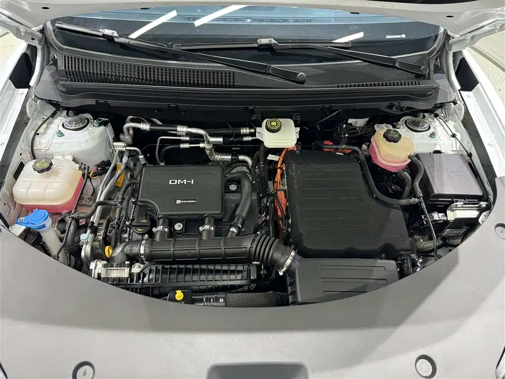 BYD Song Pro New Energy 2025 — фото 36