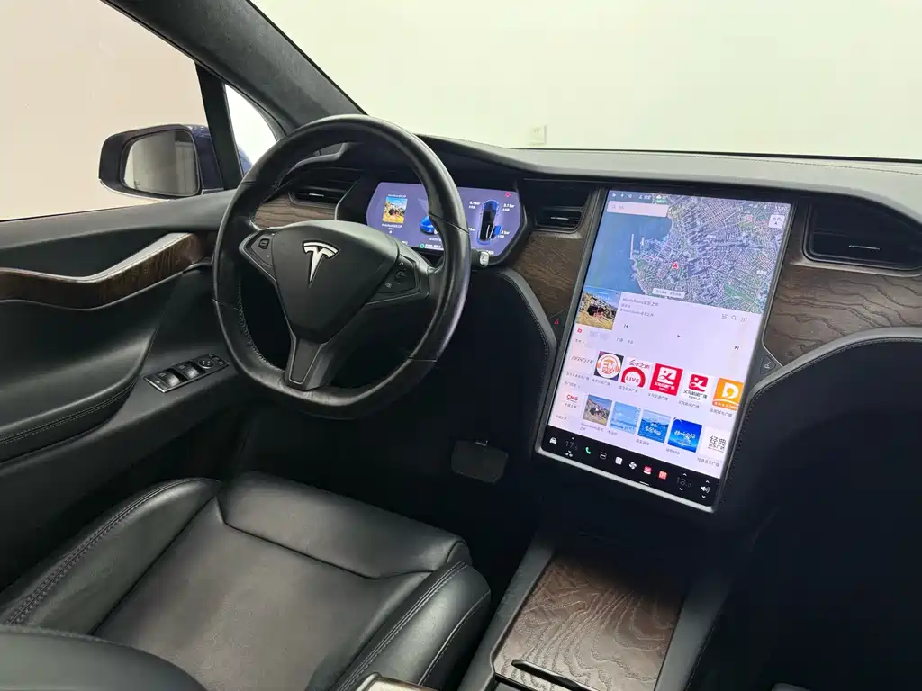 Tesla Model X 2019 — фото 14