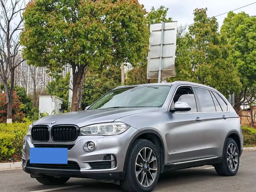 BMW X5 2014 — фото 1