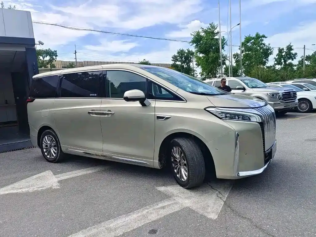 Wey Gaoshan 2024