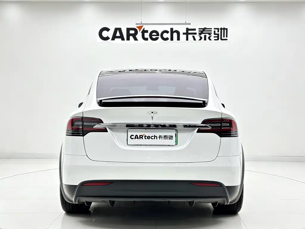 Tesla Model X 2020 — фото 5