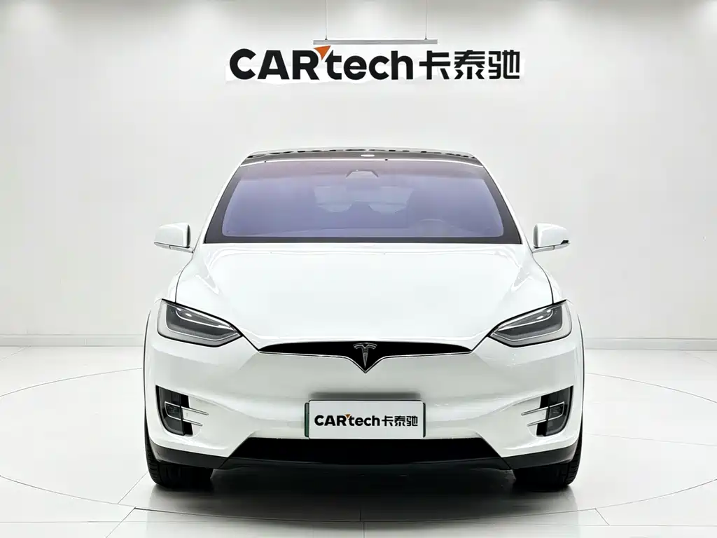 Tesla Model X 2020 — фото 2
