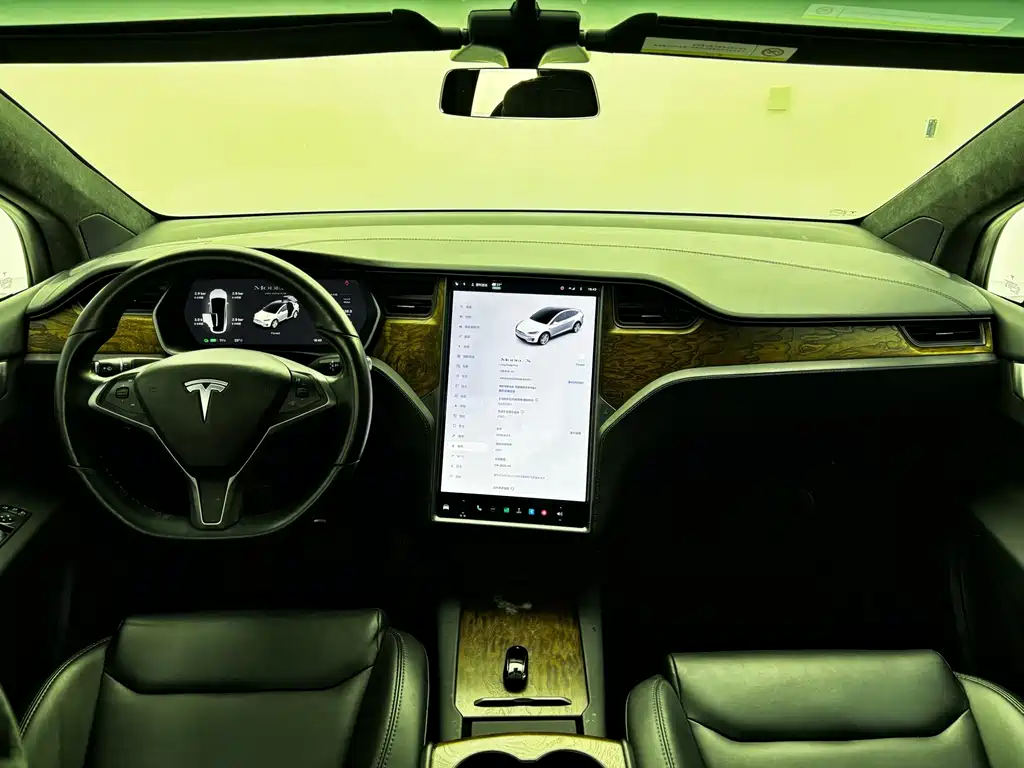 Tesla Model X 2020 — фото 19