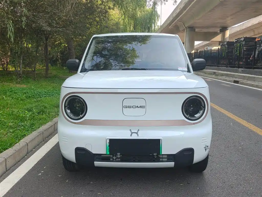 Galaxy Panda 2024