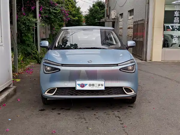 Dongfeng Nano 01 2024