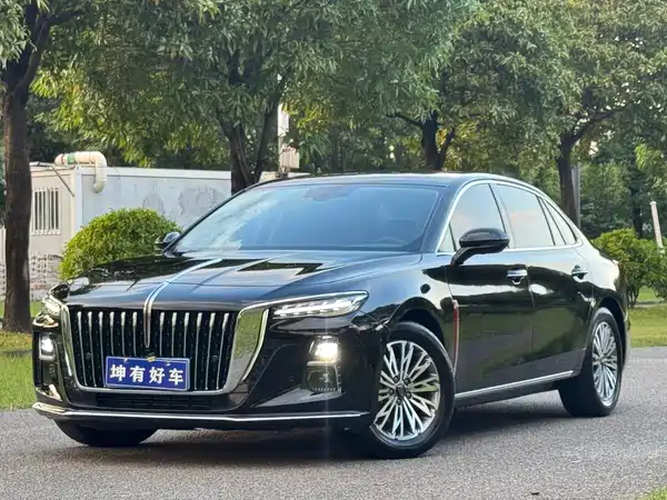 Hongqi H5 2024