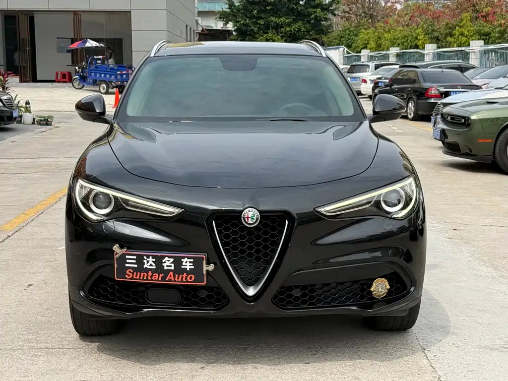 Alfa Romeo Stelvio 2019 — фото 2