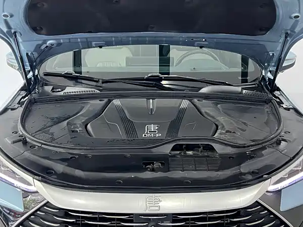 BYD Tang New Energy 2024