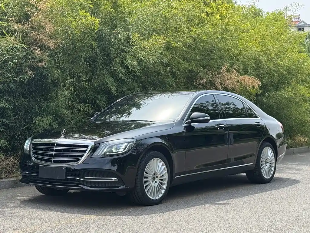 Mercedes-Benz S-Class 2020 — фото 1