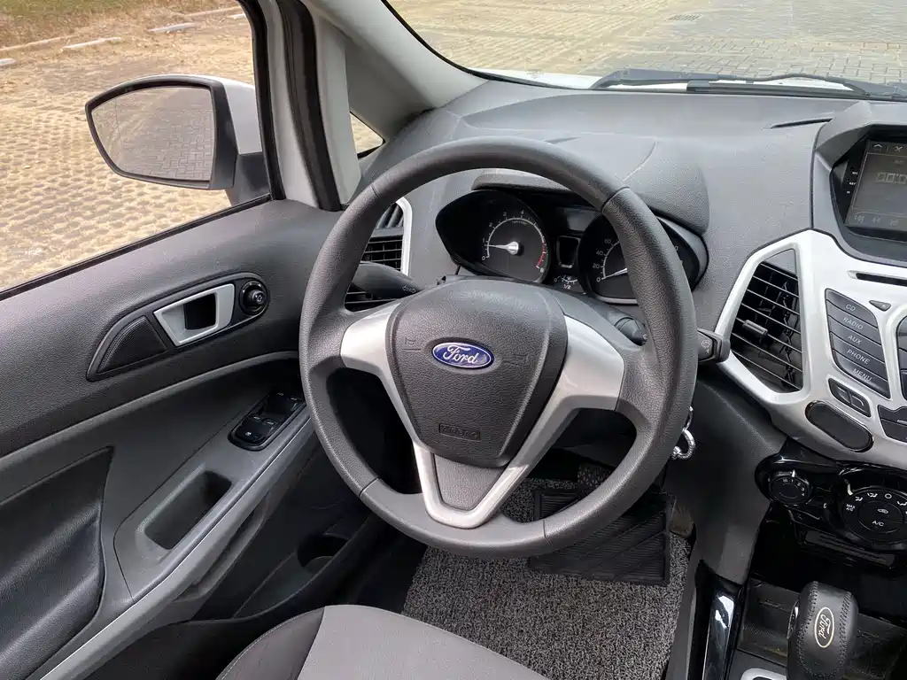 Ford Ecosport 2014 — фото 10