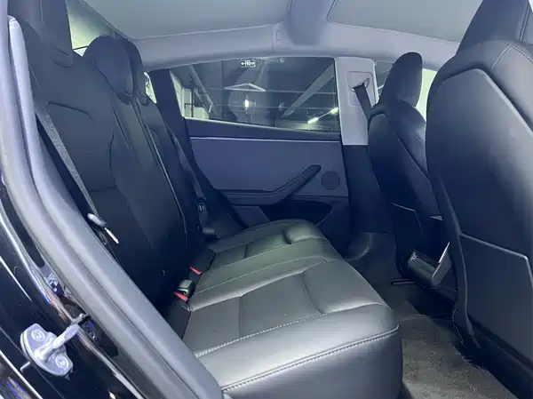 Tesla Model 3 2025