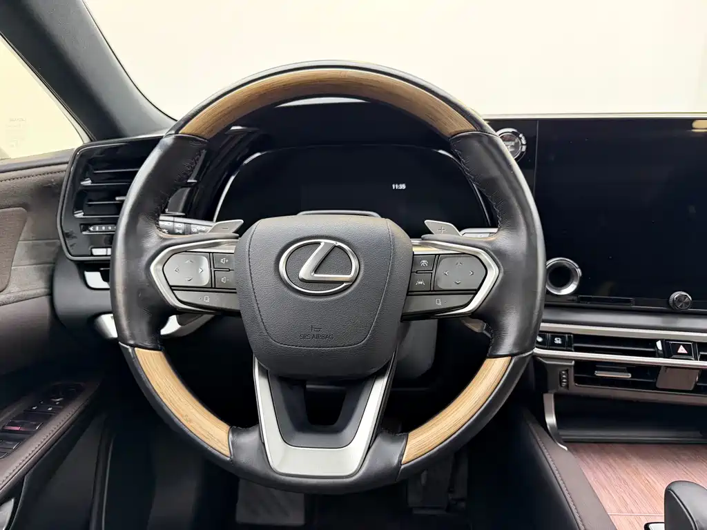 Lexus RX New Energy 2023 — фото 10