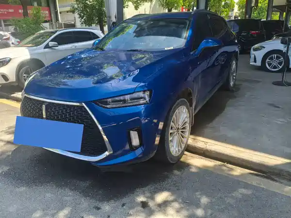Wey P8 2018