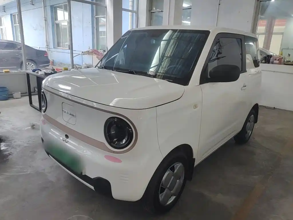 Geely Galaxy Panda 2025 — фото 2