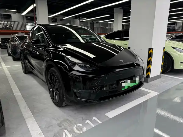 Tesla Model Y 2021