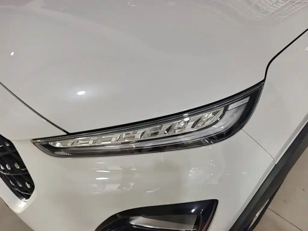 Chery Tiggo 3x 2021 — фото 24