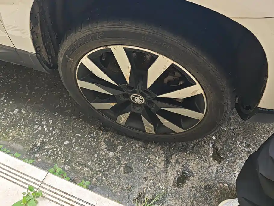 Skoda Karoq 2019