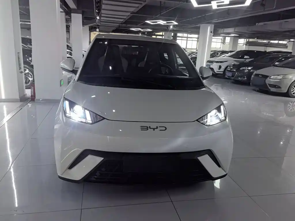 BYD Seagull 2023