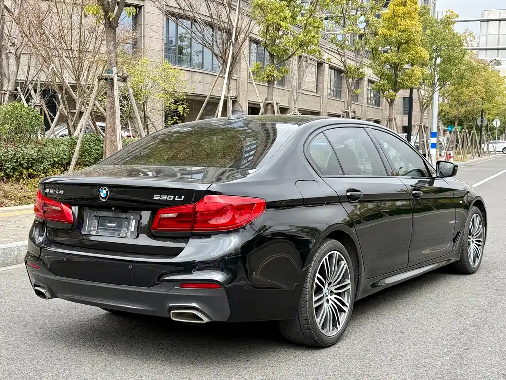 BMW 5 Series 2019 — фото 2