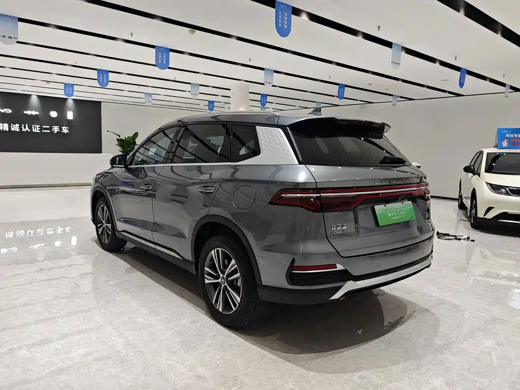 BYD Song Pro New Energy 2022 — фото 13