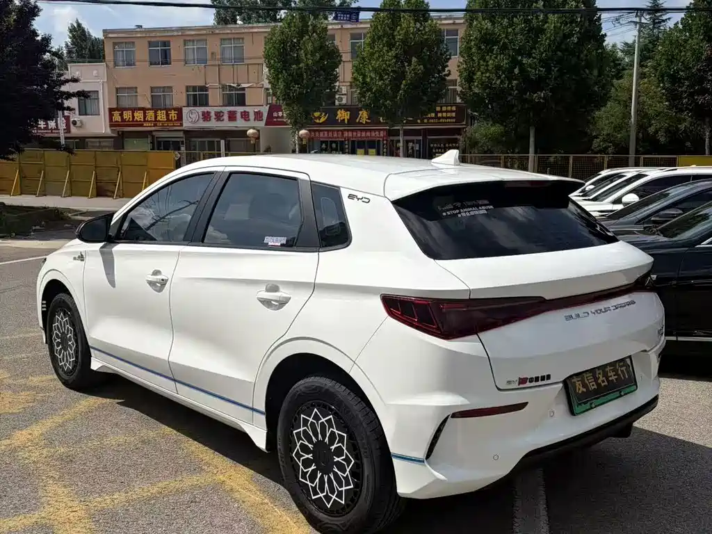 BYD e2 2022