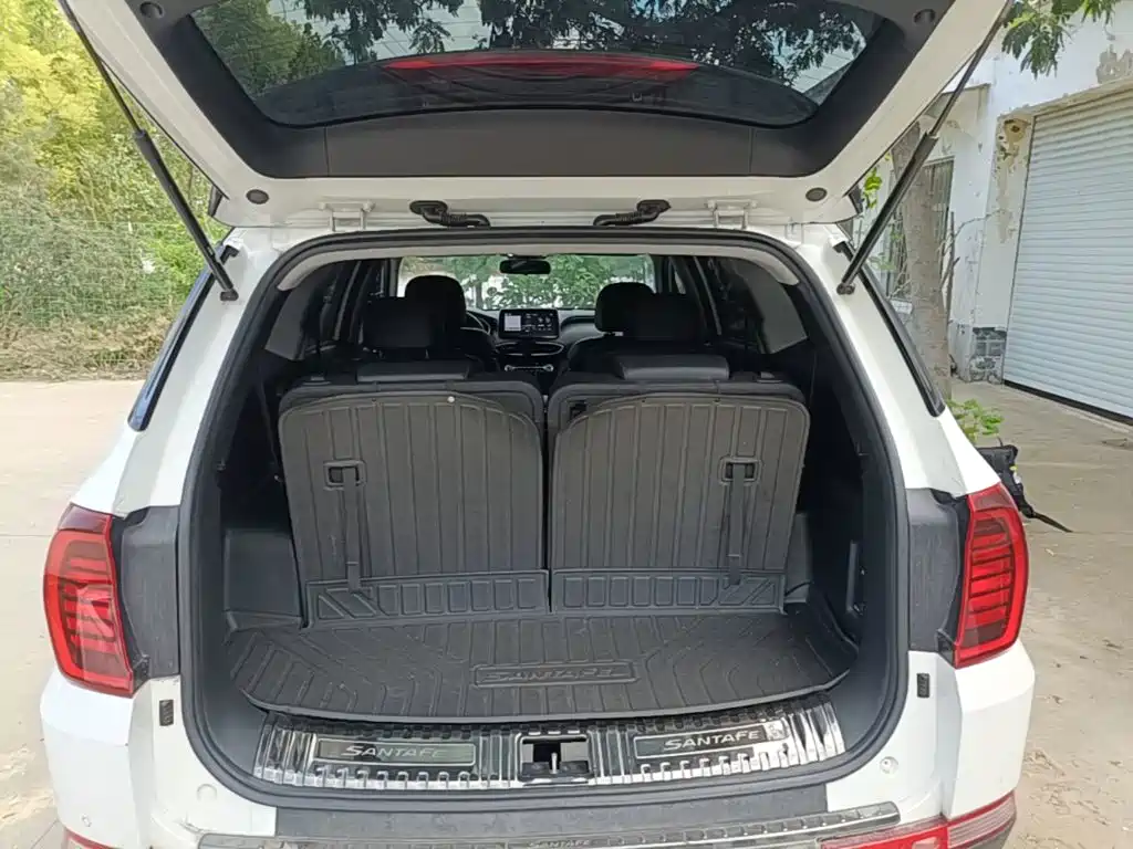 Hyundai Santa Fe 2020 — фото 19
