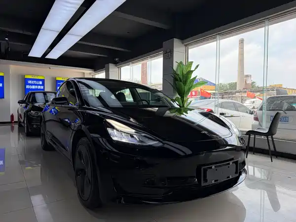 Tesla Model 3 2020
