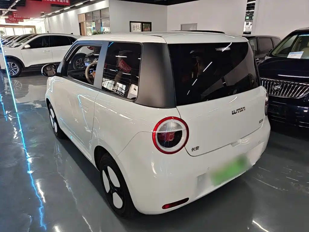 Qiyuan Lumin 2025