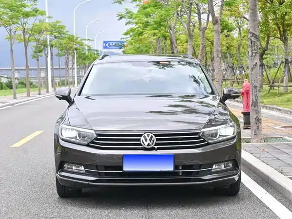 Volkswagen Viloran 2017