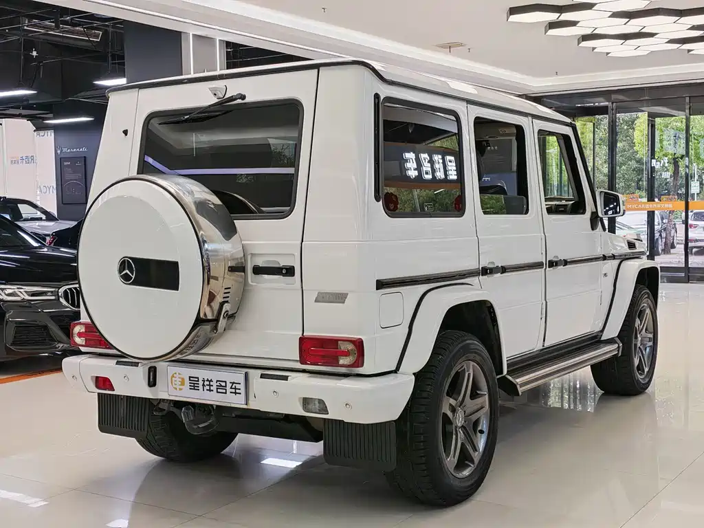 Mercedes-Benz G-Class 2016 — фото 13