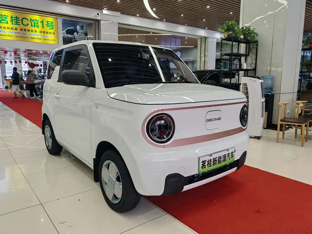 Galaxy Panda 2025