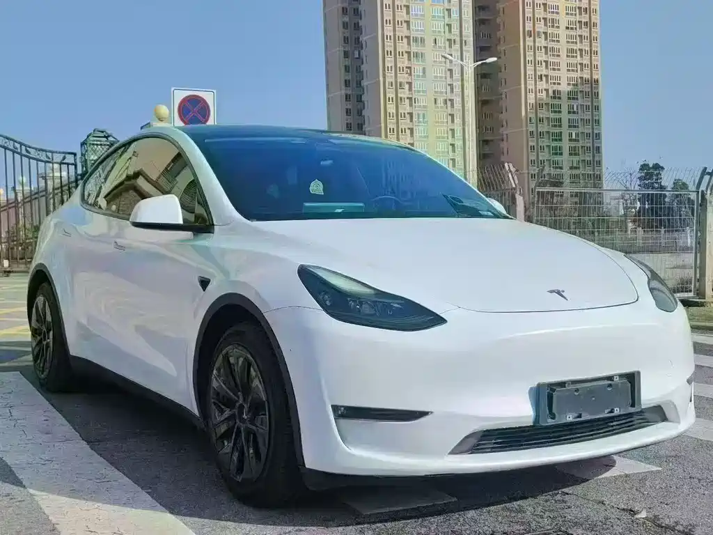 Tesla Model Y 2021 — фото 3