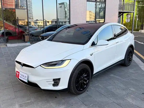 Tesla Model X 2019