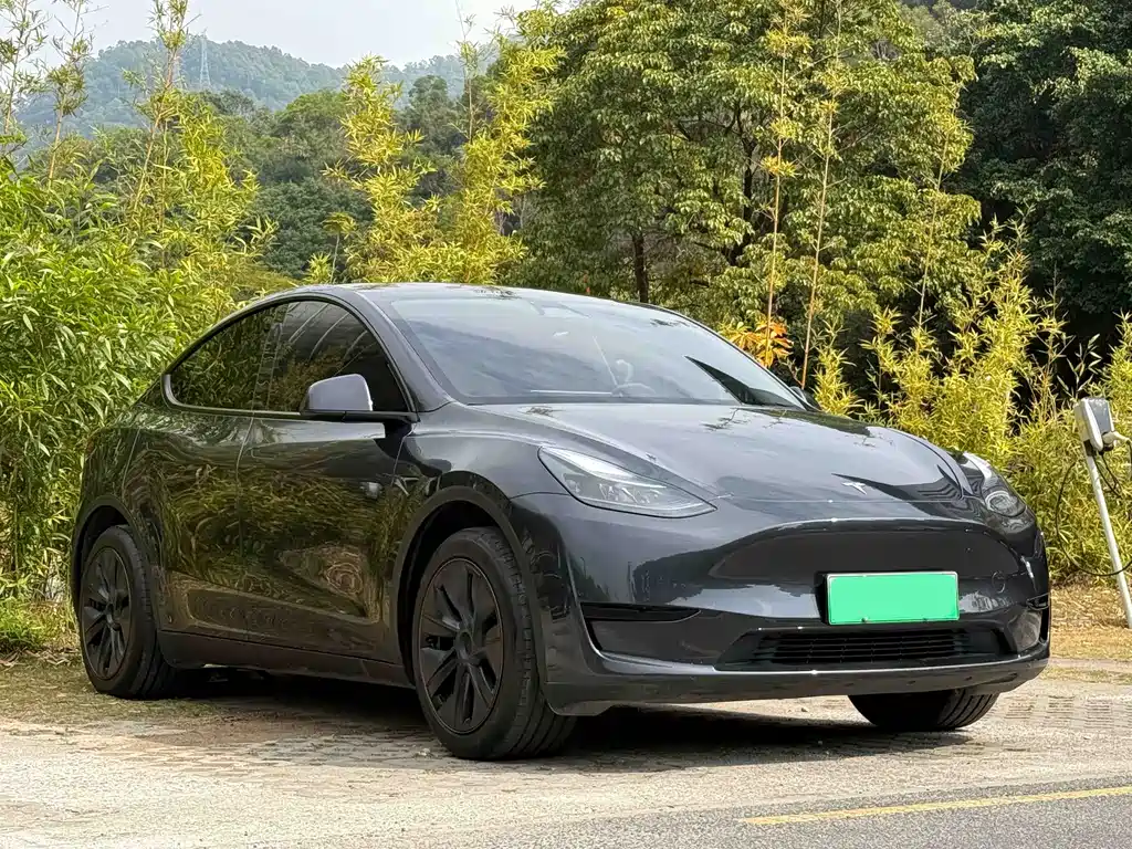 Tesla Model Y 2024 — фото 3