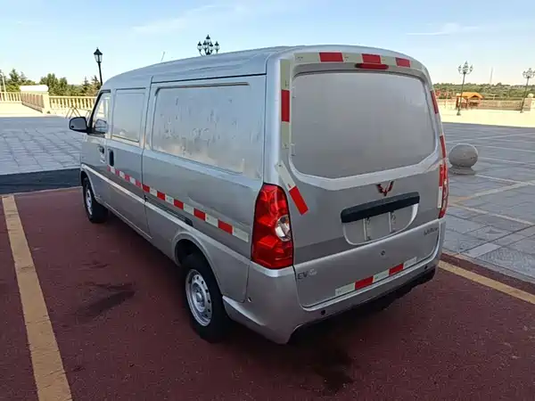 Wuling EV50 2021