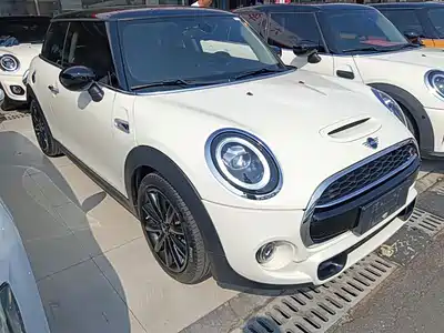 MINI MINI 2019