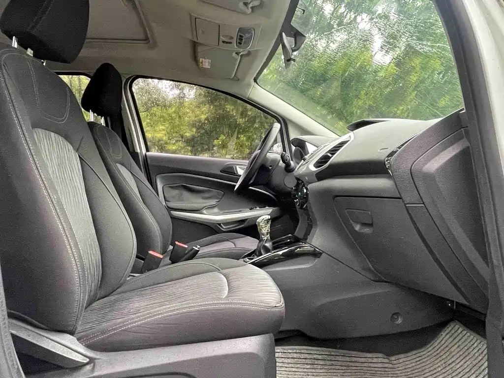 Ford Ecosport 2015 — фото 14