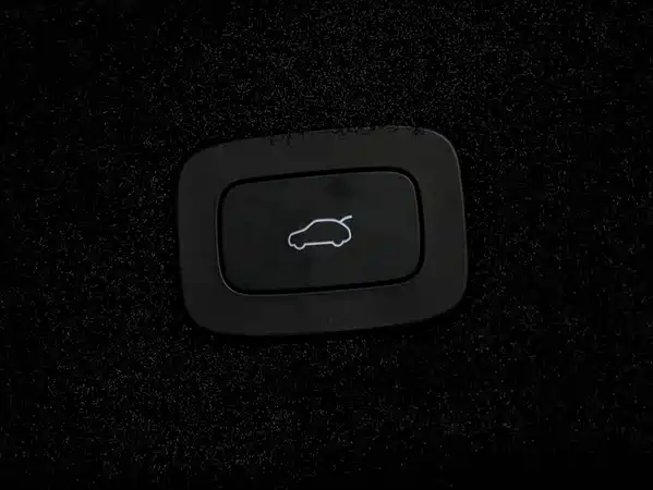 Stelato S9 2025