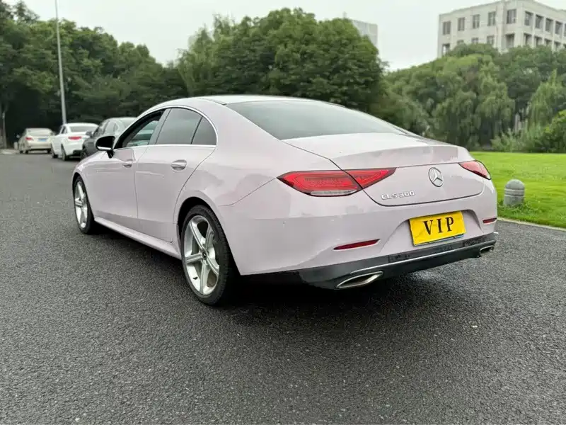 Mercedes-Benz CLS 2019 — фото 10