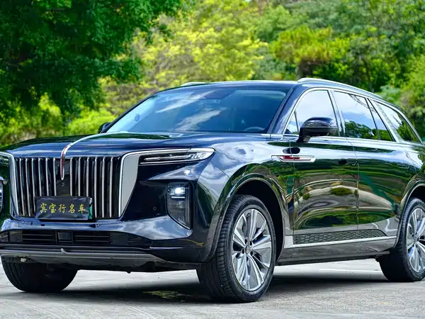 Hongqi E-HS9 2023