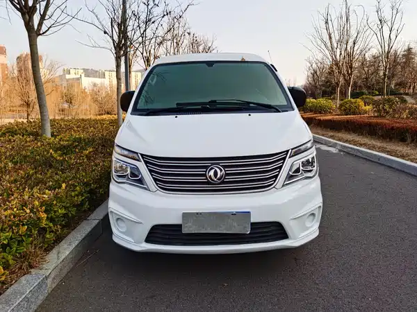 Dongfeng Lingzhi 2020
