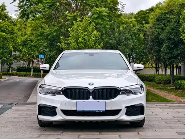BMW 5 Series 2020