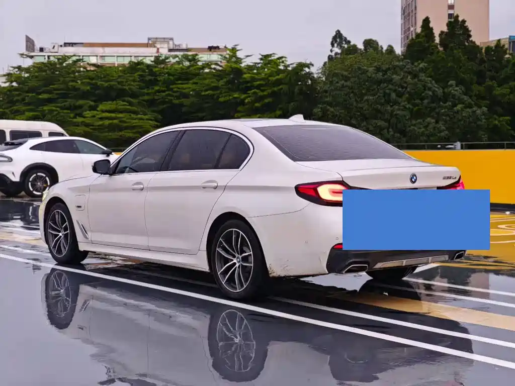 BMW 5 Series New Energy 2021